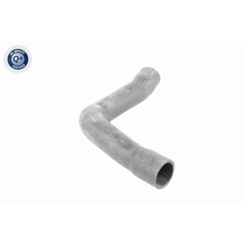 VAICO Ladeluftschlauch Q+, Erstausrüsterqualität V10-2909