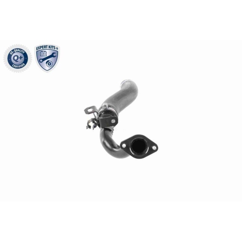 VAICO Ladeluftschlauch EXPERT KITS + V24-0722