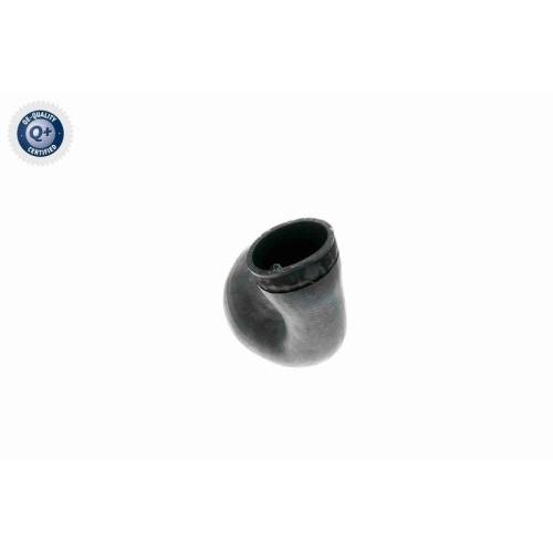 VAICO Ladeluftschlauch Q+, Erstausrüsterqualität V10-3141