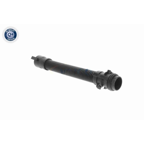 VAICO Schlauch, Luftversorgung Q+, Erstausrüsterqualität V20-3501