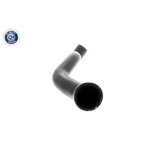 VAICO Kühlerschlauch Q+, Erstausrüsterqualität V20-3329