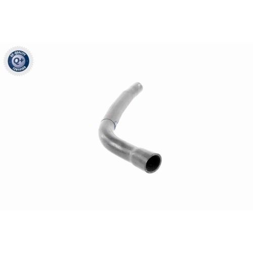 VAICO K&uuml;hlerschlauch Q+, Erstausr&uuml;sterqualit&auml;t V20-3333