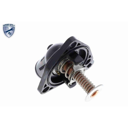 ACKOJA Thermostat, K&uuml;hlmittel EXPERT KITS + A26-99-0012