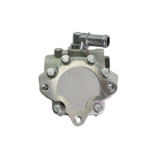 LAUBER Hydraulikpumpe, Lenkung 55.0982