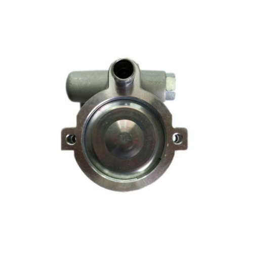 LAUBER Hydraulikpumpe, Lenkung 55.9105