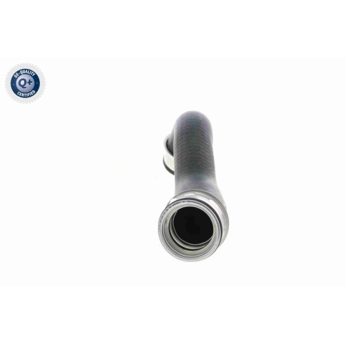 VAICO Ladeluftschlauch Q+, Erstausrüsterqualität V10-3761