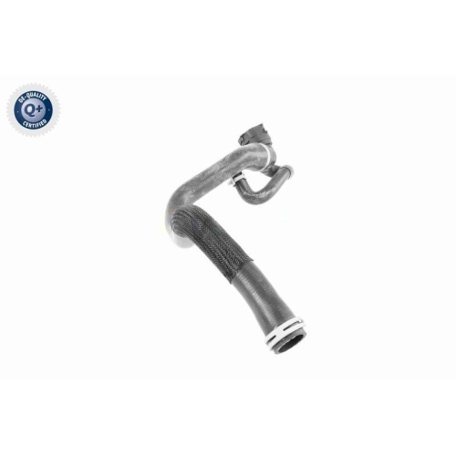 VAICO K&uuml;hlerschlauch Q+, Erstausr&uuml;sterqualit&auml;t V25-1164