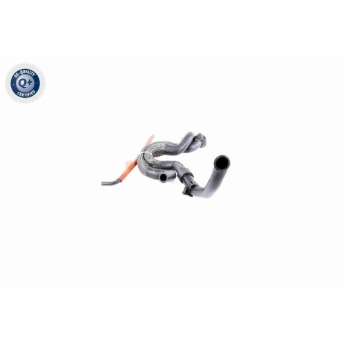 VAICO Kühlerschlauch Q+, Erstausrüsterqualität V10-3910