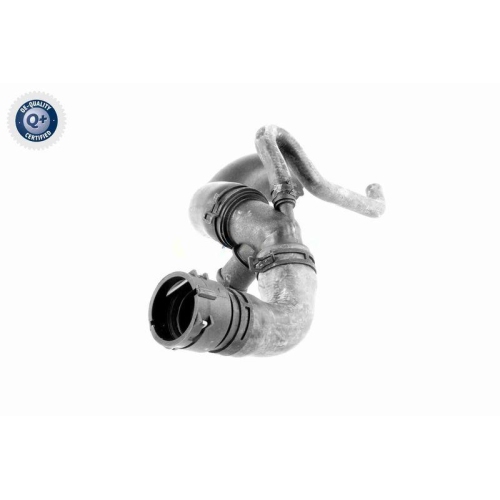 VAICO Kühlerschlauch Q+, Erstausrüsterqualität V10-3915