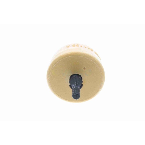 VAICO Anschlagpuffer, Federung Original VAICO Qualit&auml;t V10-6299