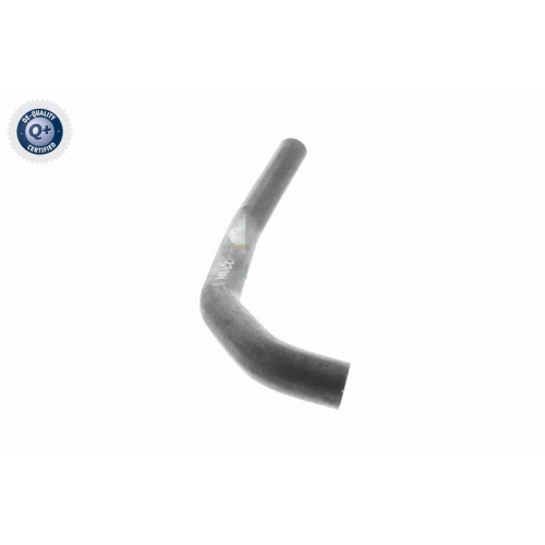 VAICO Kühlerschlauch Q+, Erstausrüsterqualität V10-4834