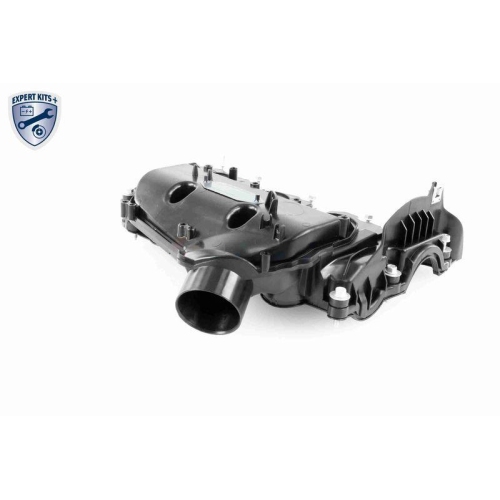 VAICO Zylinderkopfhaube EXPERT KITS + V48-0463