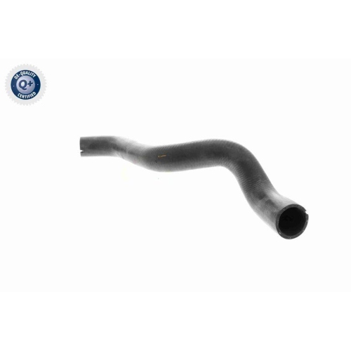 VAICO K&uuml;hlerschlauch Q+, Erstausr&uuml;sterqualit&auml;t