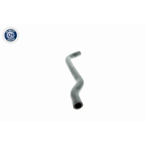 VAICO K&uuml;hlerschlauch Q+, Erstausr&uuml;sterqualit&auml;t V40-1354