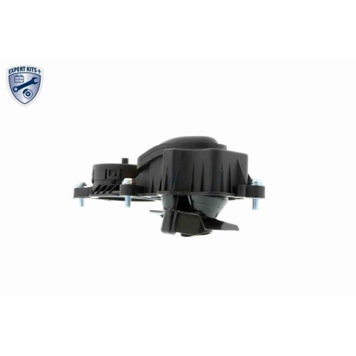 VAICO Ventil, Kurbelgehäuseentlüftung EXPERT KITS + V20-0956