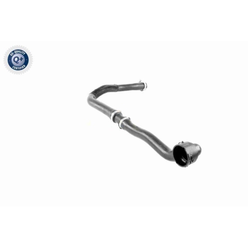 VAICO K&uuml;hlerschlauch Q+, Erstausr&uuml;sterqualit&auml;t