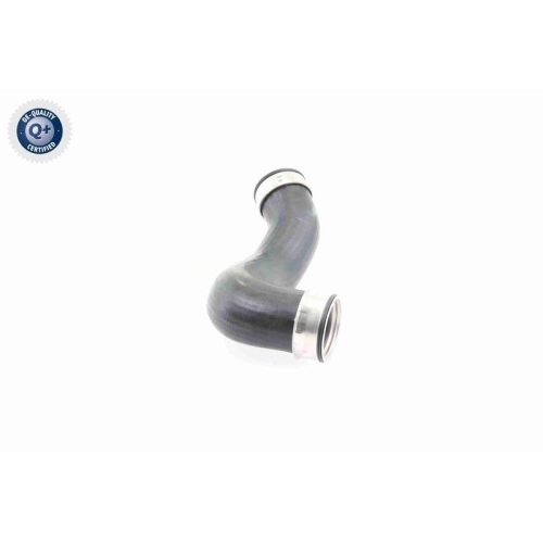VAICO Ladeluftschlauch Q+, Erstausrüsterqualität V30-2648