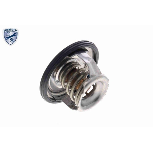 ACKOJA Thermostat, K&uuml;hlmittel EXPERT KITS + A63-99-0004