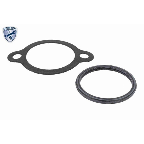 ACKOJA Thermostat, K&uuml;hlmittel EXPERT KITS + A64-99-0003