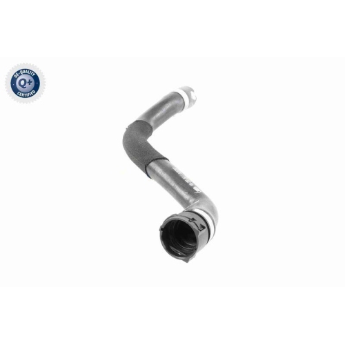 VAICO K&uuml;hlerschlauch Q+, Erstausr&uuml;sterqualit&auml;t