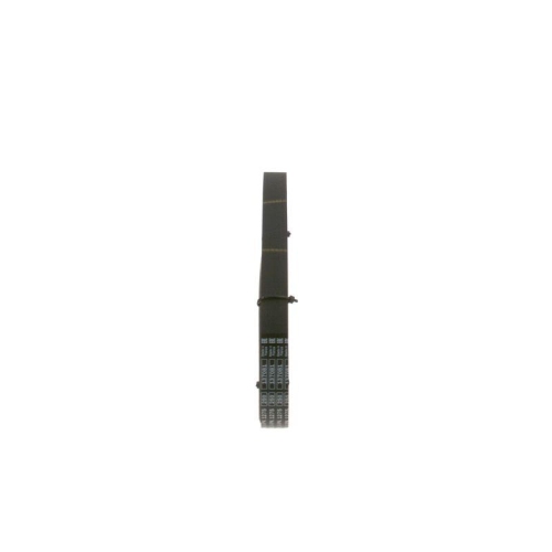BOSCH Keilrippenriemen 1 987 947 975
