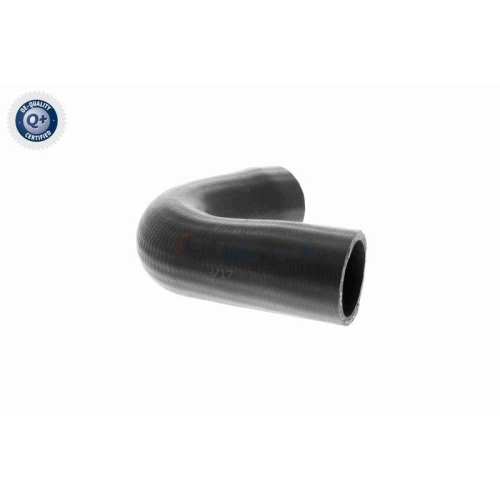 VAICO Ladeluftschlauch Q+, Erstausrüsterqualität V22-1100