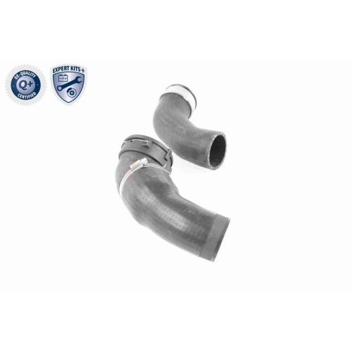 VAICO Ladeluftschlauch EXPERT KITS + V20-2970