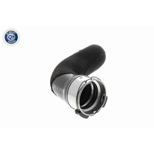 VAICO Ladeluftschlauch Q+, Erstausrüsterqualität