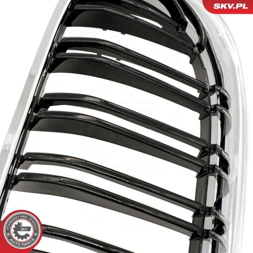 ESEN SKV Kühlergitter 66SKV118