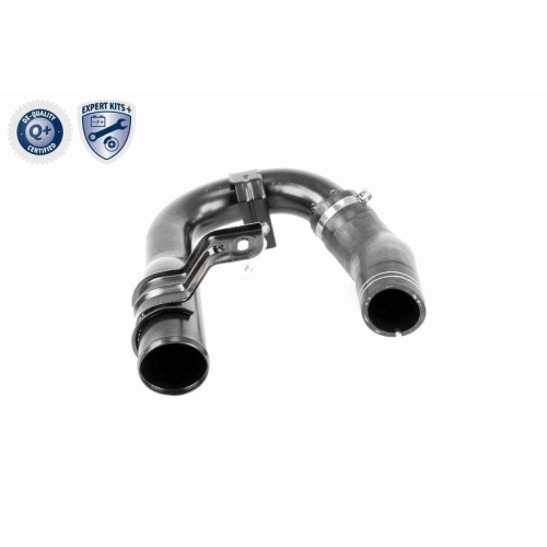 VAICO Ladeluftschlauch EXPERT KITS + V24-0718