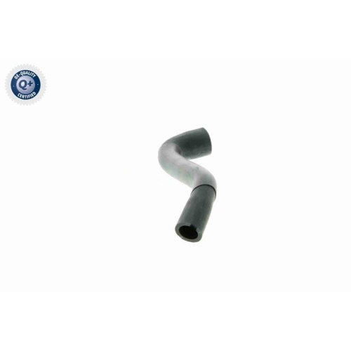 VAICO Schlauch, Zylinderkopfhaubenentl&uuml;ftung Q+, Erstausr&uuml;sterqualit&auml;t V22-1070