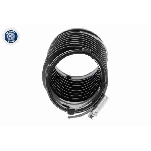 VAICO Ansaugschlauch, Luftfilter Q+, Erstausr&uuml;sterqualit&auml;t V25-1910