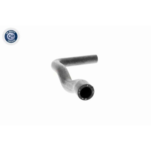 VAICO Kühlerschlauch Q+, Erstausrüsterqualität V20-1240