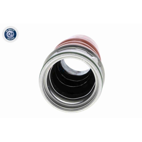 VAICO Ladeluftschlauch Q+, Erstausrüsterqualität