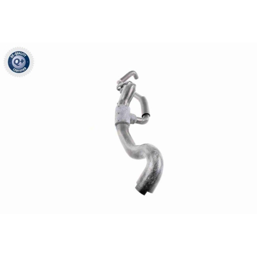 VAICO K&uuml;hlerschlauch Q+, Erstausr&uuml;sterqualit&auml;t