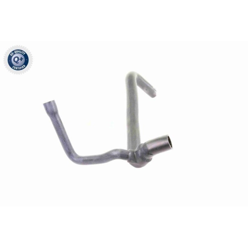 VAICO Kühlerschlauch Q+, Erstausrüsterqualität V30-0224