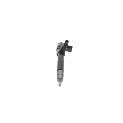 BOSCH Einspritzd&uuml;se 0 445 110 263