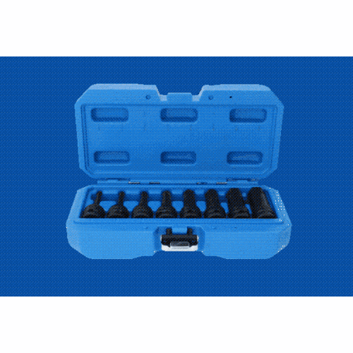 1/2 Zoll Kraft-Bit-Stecknuss-Satz Innensechskant 8-tlg 5 - 19 mm BRILLIANT TOOLS