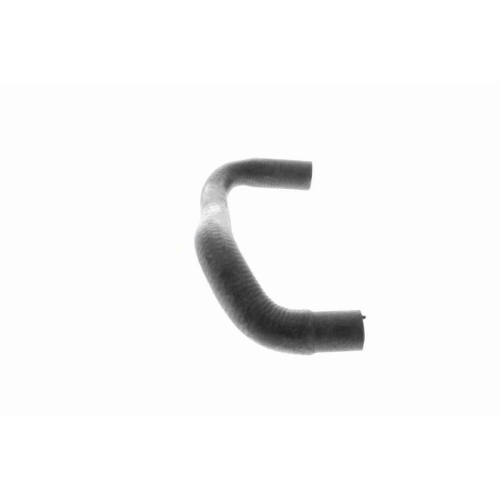 VAICO K&uuml;hlerschlauch Green Mobility Parts V30-2418