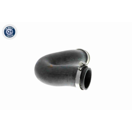 VAICO Ladeluftschlauch Q+, Erstausrüsterqualität