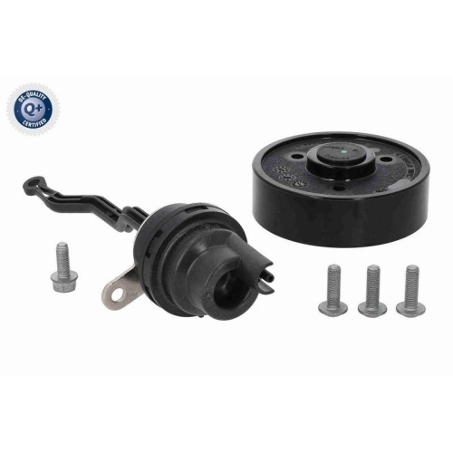 VAICO Wasserpumpe, Motorkühlung Q+, Erstausrüsterqualität