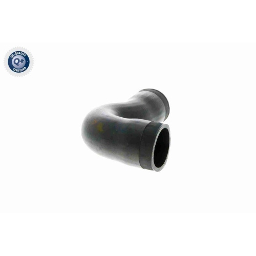 VAICO Ladeluftschlauch Q+, Erstausrüsterqualität