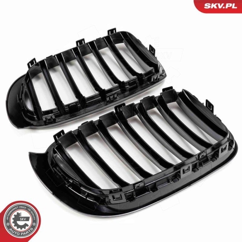ESEN SKV Kühlergitter