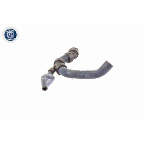 VAICO Kühlerschlauch Q+, Erstausrüsterqualität V10-3195