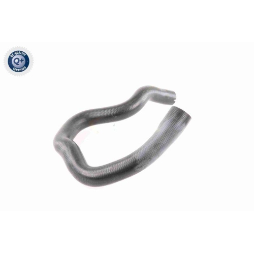 VAICO K&uuml;hlerschlauch Q+, Erstausr&uuml;sterqualit&auml;t V40-1779