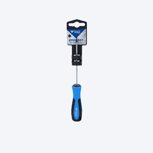 Schraubendreher TORX, T6 x 100 mm BRILLIANT TOOLS BT031037