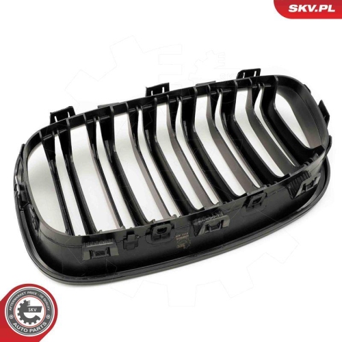 ESEN SKV Kühlergitter