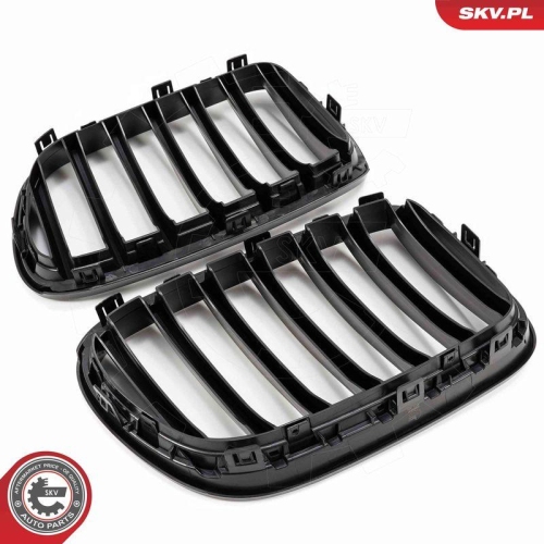 ESEN SKV Kühlergitter