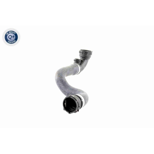 VAICO Kühlerschlauch Q+, Erstausrüsterqualität V20-0868