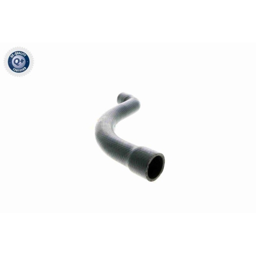VAICO Kühlerschlauch Q+, Erstausrüsterqualität V20-1252
